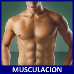 El electroestimulador muscular funciona para aumentar masa muscular